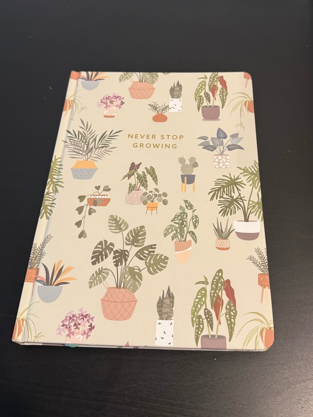 Journal